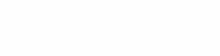 mapvis logo footer